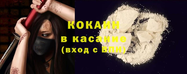 PSILOCYBIN Майский