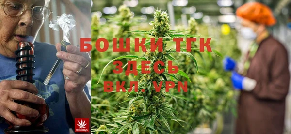 PSILOCYBIN Майский