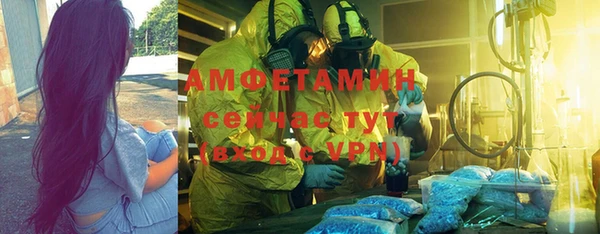PSILOCYBIN Майский
