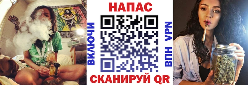 Конопля сатива  где продают   Челябинск 